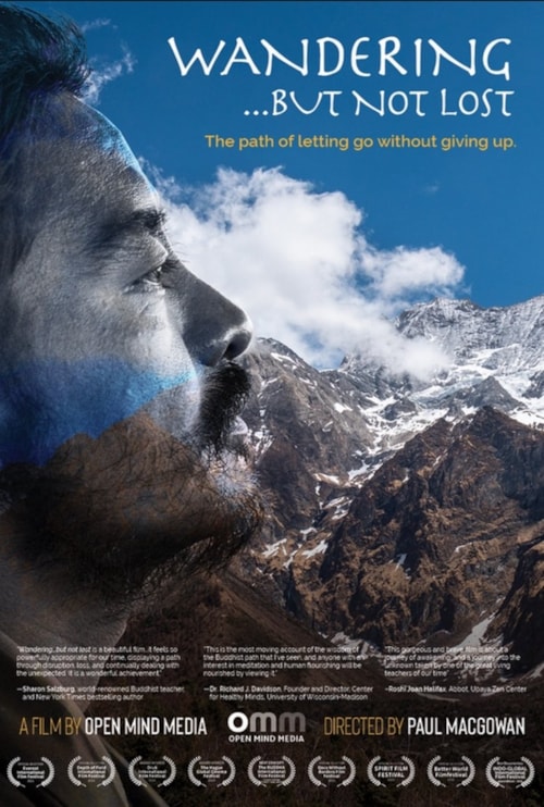 Wandering...But Not Lost poster